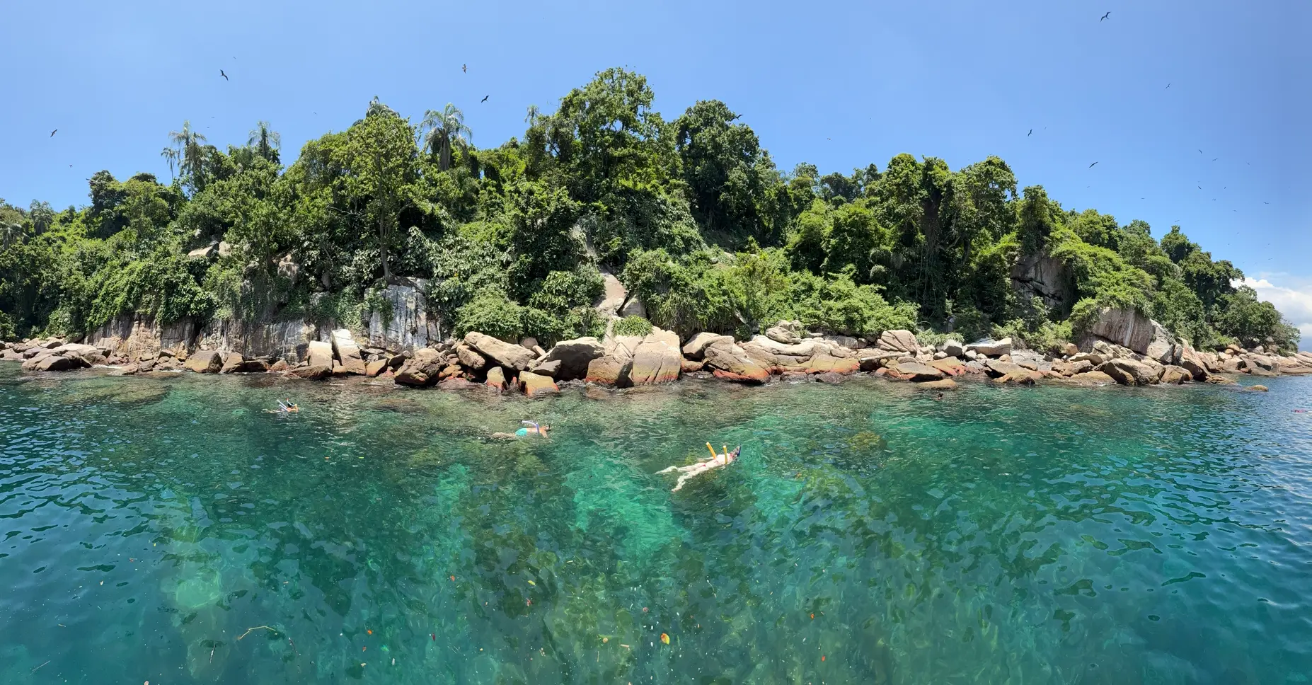Ilha de Jorge Grego no passeio Super Sul